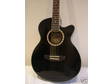 Electro Acoustic Guitar (Black)   10w Marshall Amp
