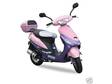 BRAND NEW 2010 50cc PINK SPORTS SCOOTER